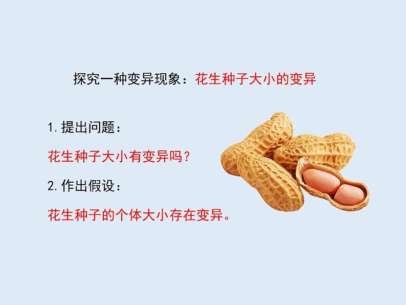 8.2.5生物的变异---2023-2024学年鲁科版(五四学制)生物学八年级下册课件07