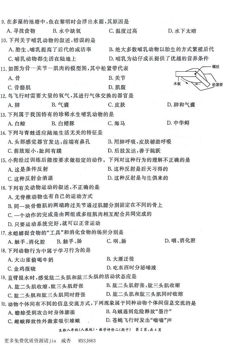 安徽省淮北市五校联考2023-2024学年八年级上学期期中考试生物学试题第2页