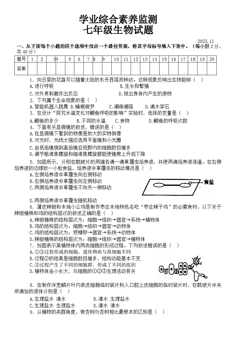 山东省枣庄市薛城区2023-2024学年七年级上学期期中生物试题01