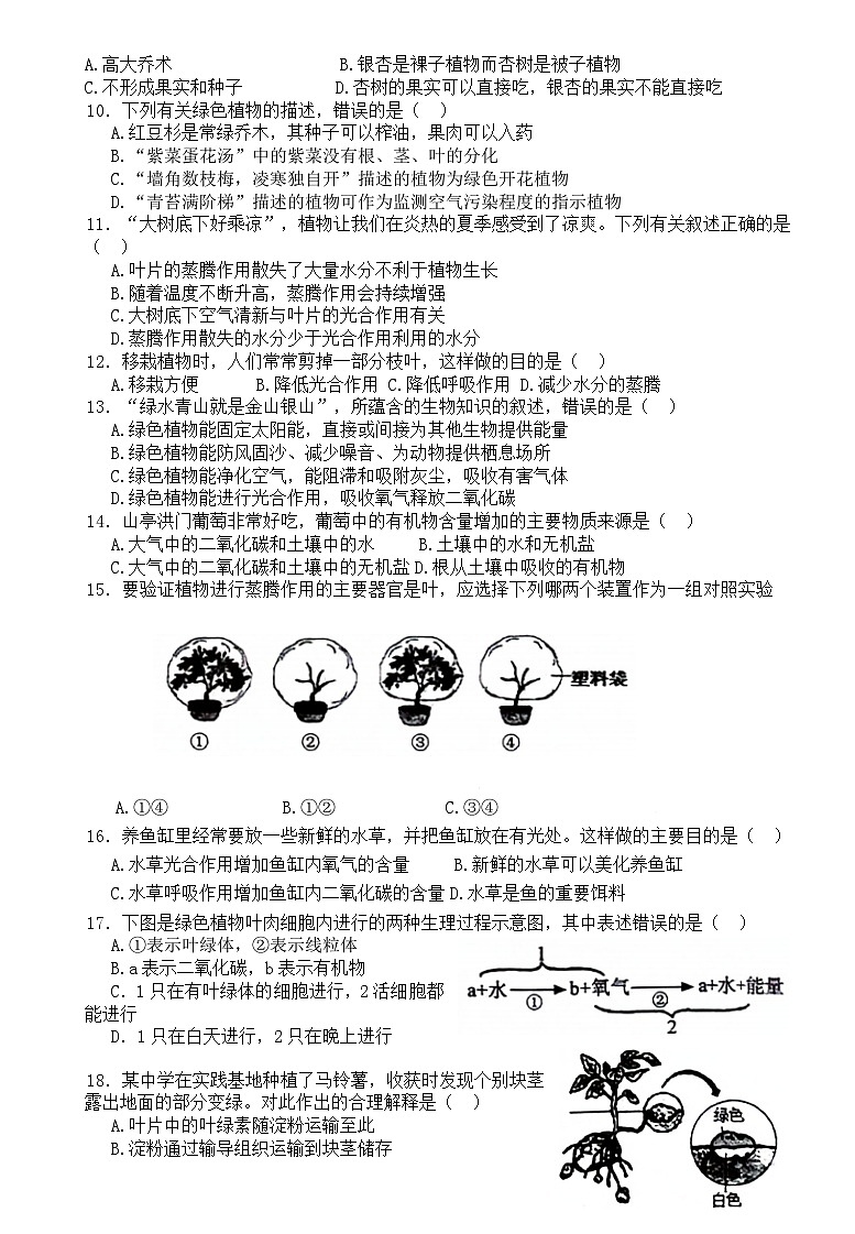 山东省枣庄市薛城区2023-2024学年七年级上学期期中生物试题02