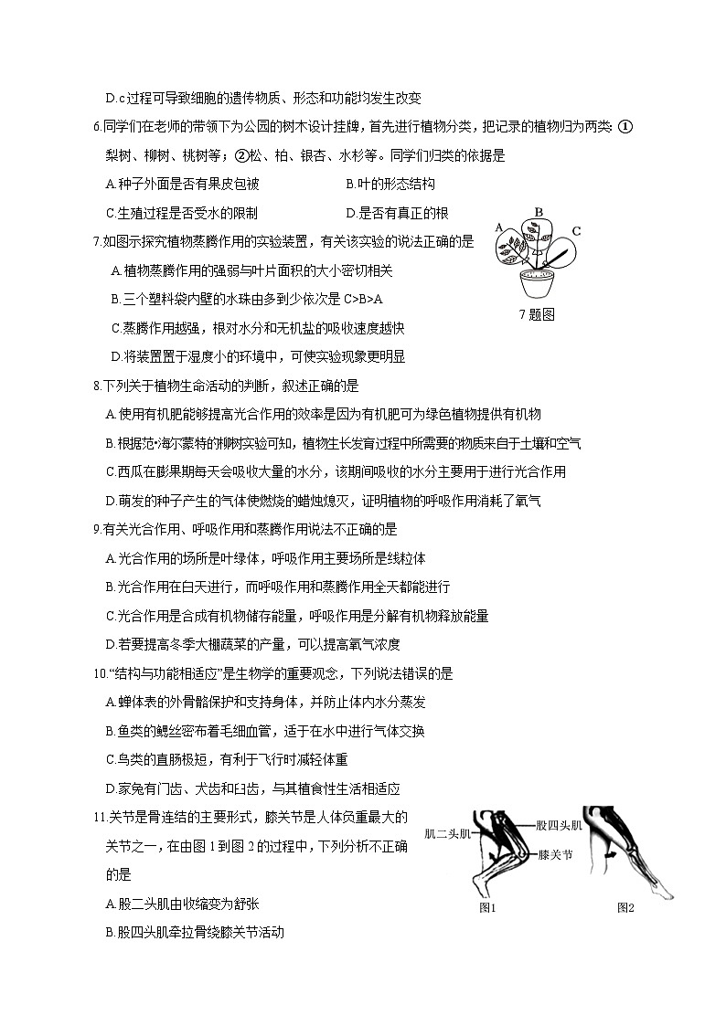 2023-2024学年山东省菏泽市东明县九年级上学期期中生物质量检测模拟试题(含解析)02