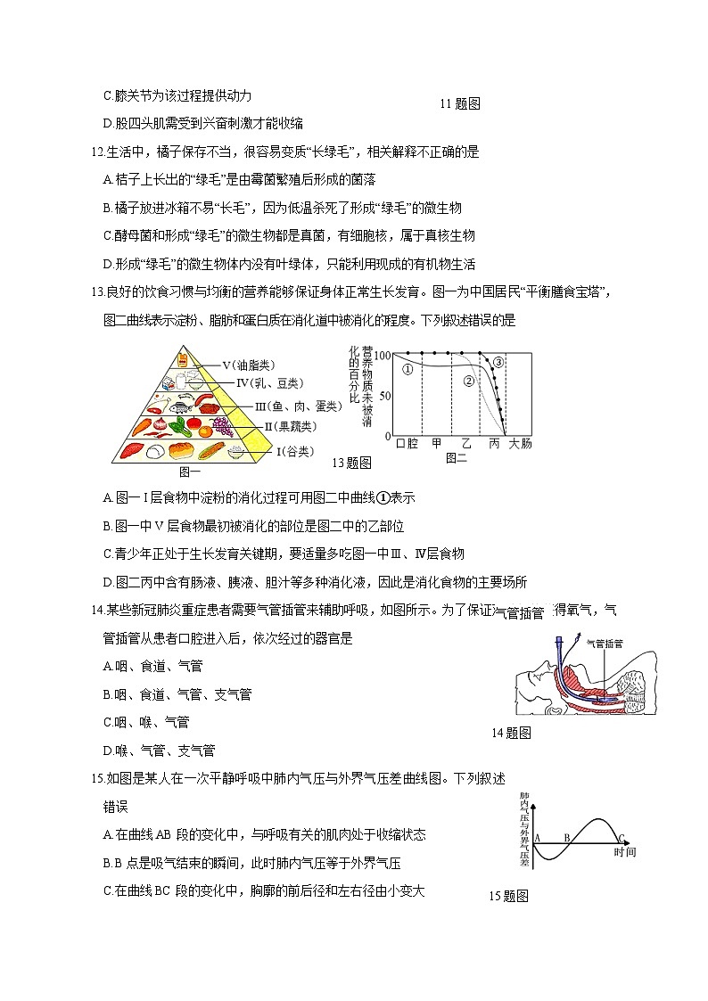 2023-2024学年山东省菏泽市东明县九年级上学期期中生物质量检测模拟试题(含解析)03