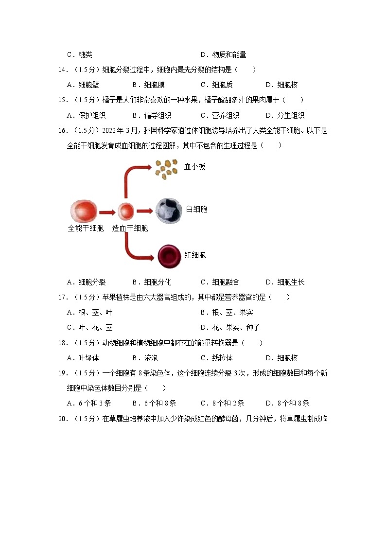 甘肃省陇南市武都区2023-2024学年七年级上学期期中生物试卷03