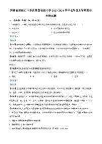 河南省郑州市中牟县第四初级中学2023-2024学年七年级上学期期中生物试题（解析版）
