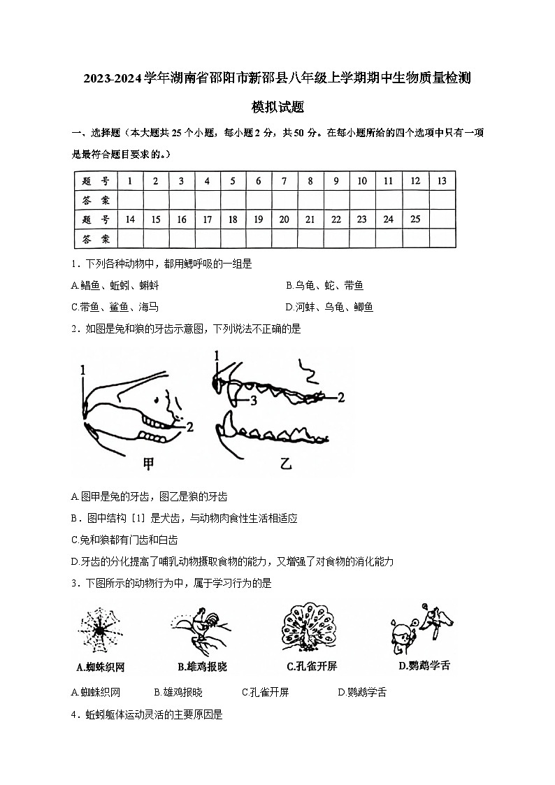 2023-2024学年湖南省邵阳市新邵县八年级上册期中生物学情检测模拟试题(含答案)01
