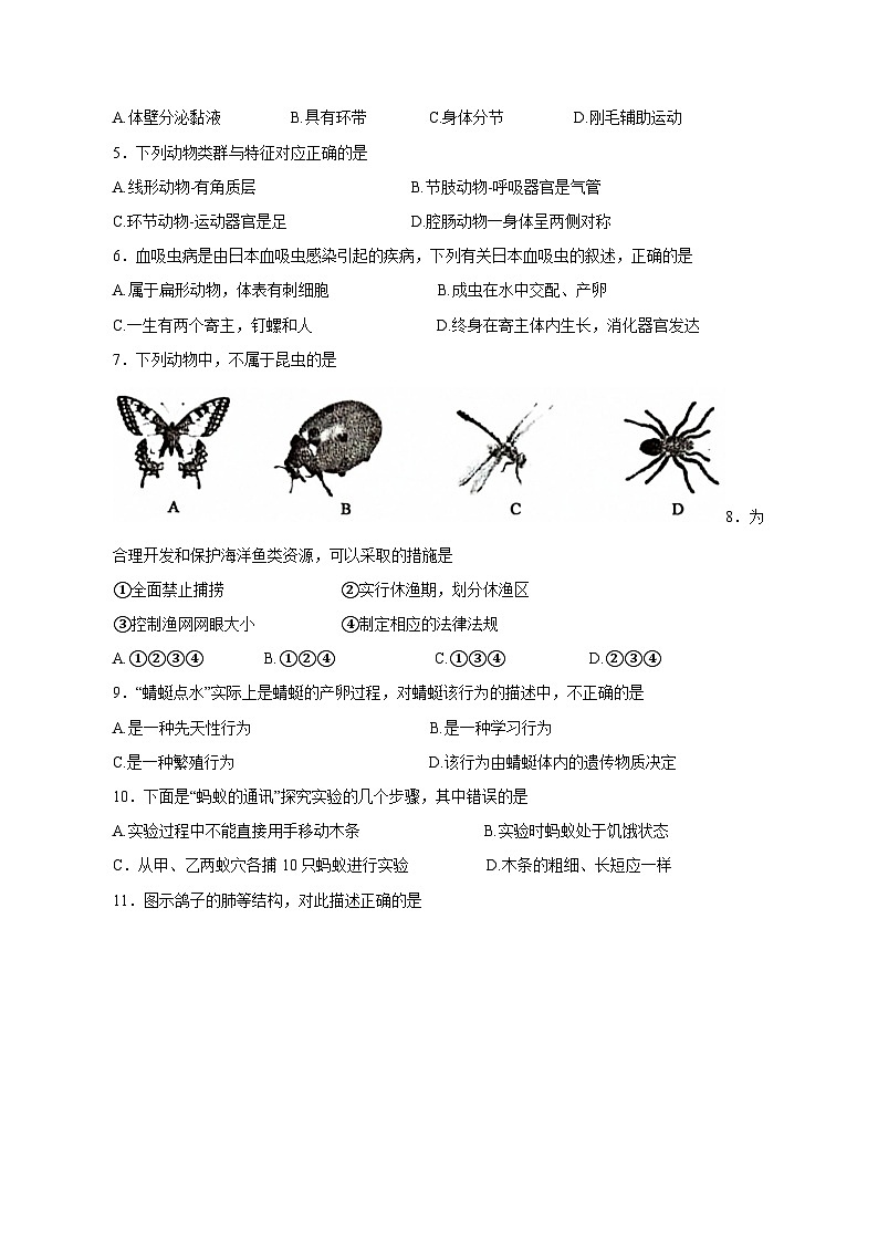 2023-2024学年湖南省邵阳市新邵县八年级上册期中生物学情检测模拟试题(含答案)02