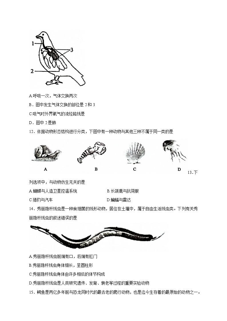 2023-2024学年湖南省邵阳市新邵县八年级上册期中生物学情检测模拟试题(含答案)03