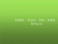 北师大版八年级生物上册第15章第2节第2课时骨连结、骨骼、骨骼肌、躯体运动课件