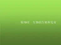 北师大版八年级生物上册第19章第1节第1课时人的生殖系统及新生命的孕育课件