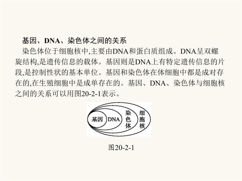 北师大版八年级生物上册第20章第2节性状遗传的物质基础课件05