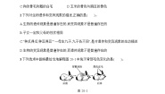 北师大版八年级上册第20章  生物的遗传和变异综合与测试课后练习题
