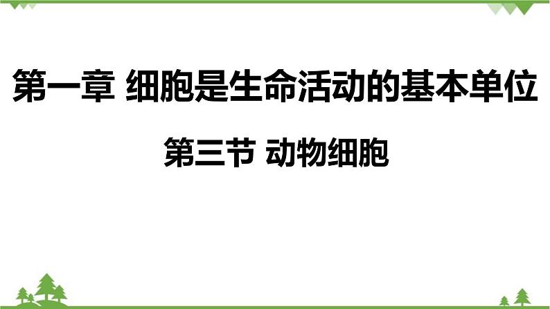人教版生物七年级上册 动物细胞课件01
