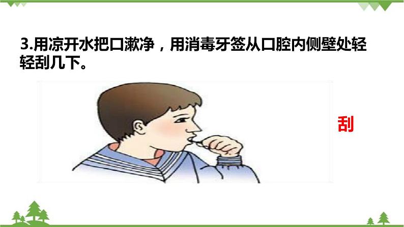 人教版生物七年级上册 动物细胞课件04