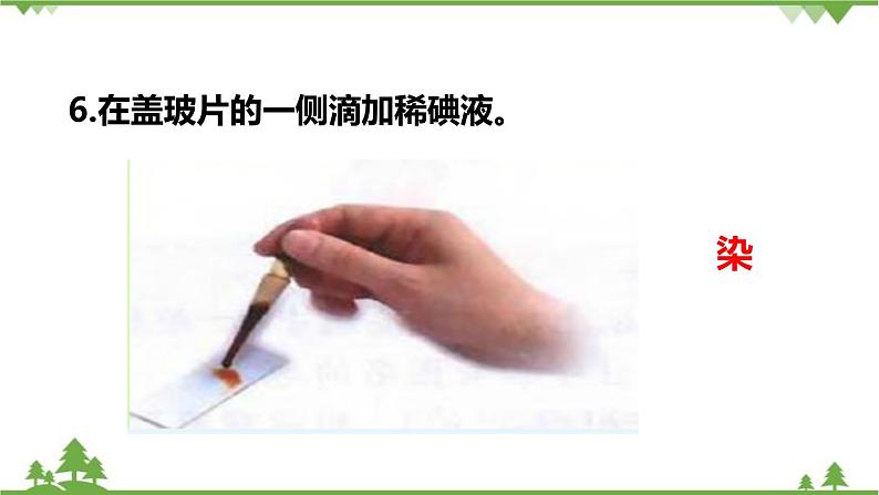 人教版生物七年级上册 动物细胞课件07