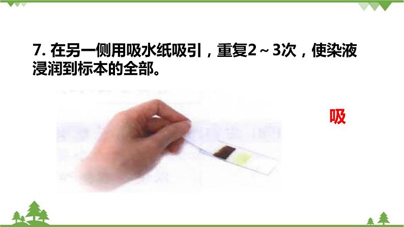 人教版生物七年级上册 动物细胞课件08