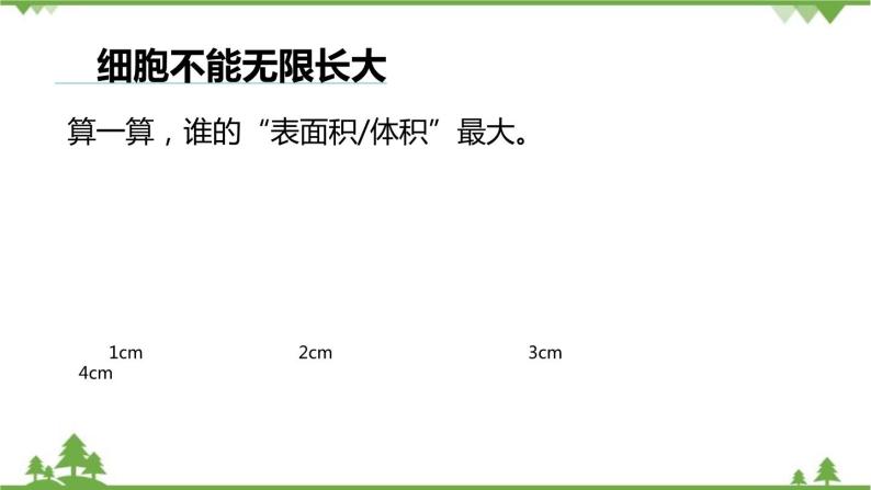 人教版生物七年级上册  细胞通过分裂产生新细胞课件04