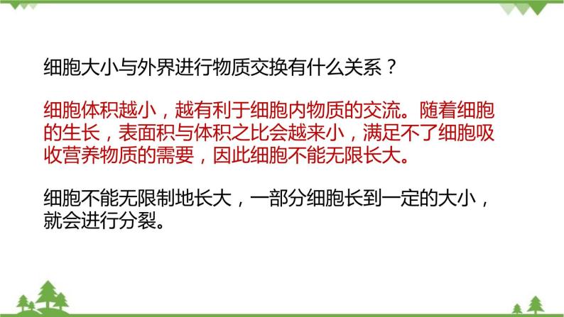 人教版生物七年级上册  细胞通过分裂产生新细胞课件06