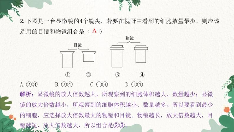 人教版生物七年级上册 第二单元过关检测卷课件03