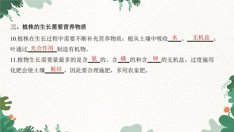 人教版生物七年级上册 第三单元 第二章 被子植物的一生 第二节 植株的生长课件04