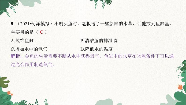人教版生物七年级上册 第三单元 第五章 绿色植物与生物圈中的碳—氧平衡 第一节 光合作用吸收二氧化碳释放氧气 第二课时课件04