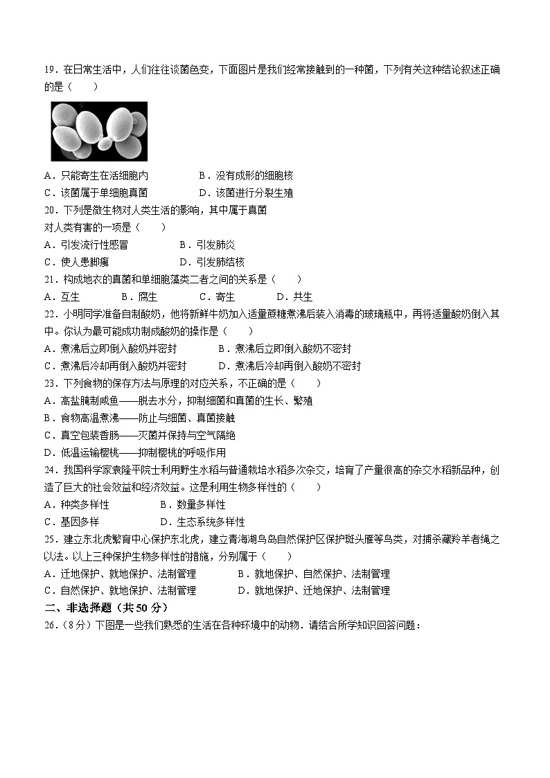 山東省臨沂市羅莊區(qū)2023-2024學(xué)年八年級上學(xué)期期中考試生物試題第3頁