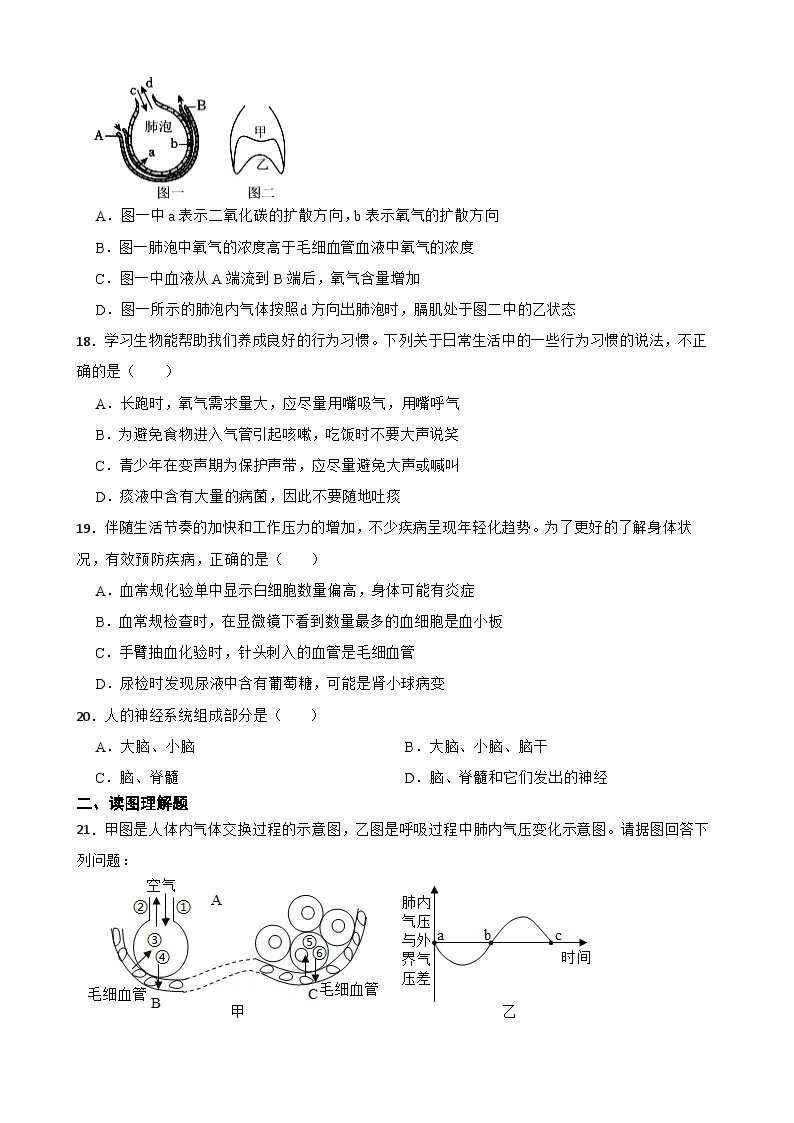 甘肃省武威第十七中学教研联片联考2023-2024学年九年级上学期11月月考生物试题03