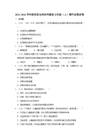 陕西省宝鸡市凤翔县2023-2024学年七年级上学期期中生物试卷