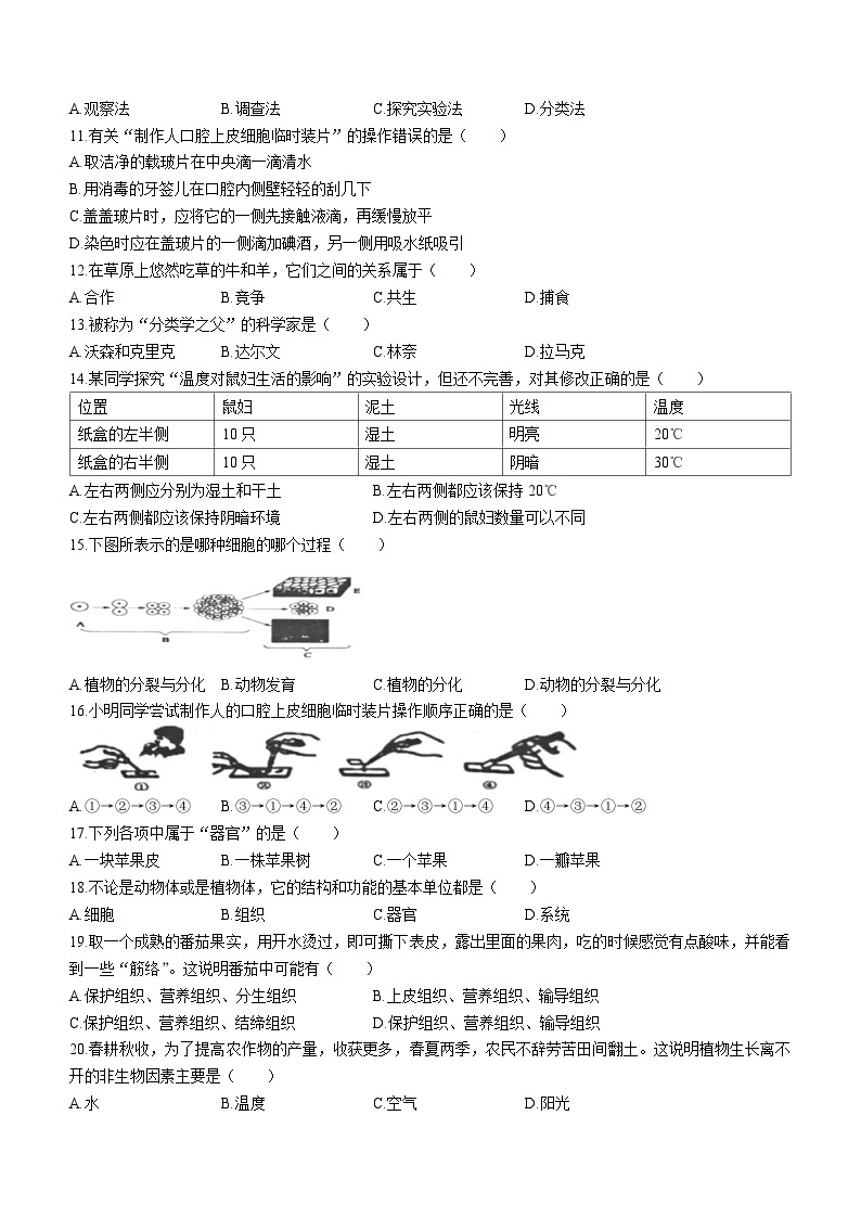 辽宁省朝阳市朝阳县羊山实验中学2023-2024学年七年级上学期期中生物试题02