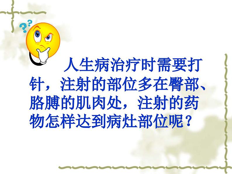 《第三节 物质运输的路线》课件第1页