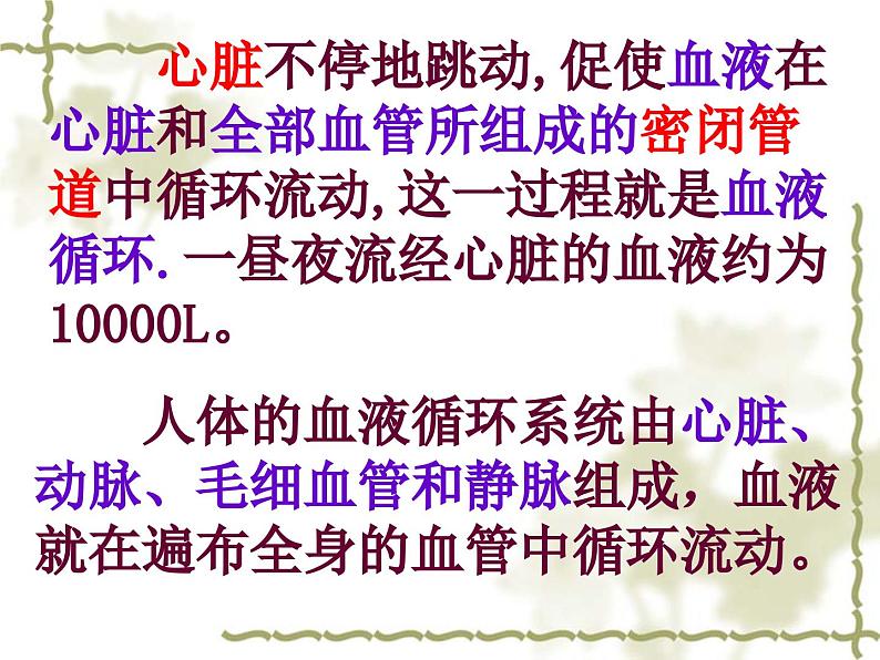 《第三节 物质运输的路线》课件第3页