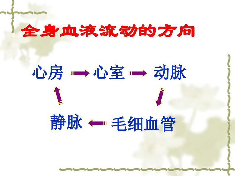 《第三节 物质运输的路线》课件第5页