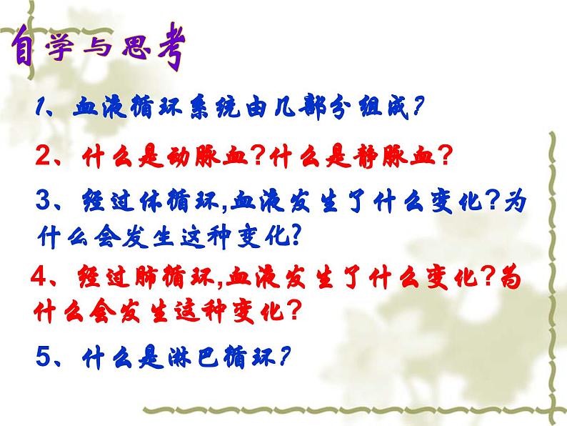《第三节 物质运输的路线》课件第6页