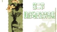 冀少版青春期的卫生保健说课课件ppt