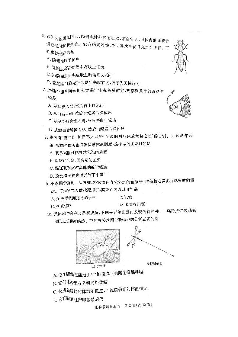 湖南省长沙市一中教育集团2023-2024学年八年级上学期期中生物试题02