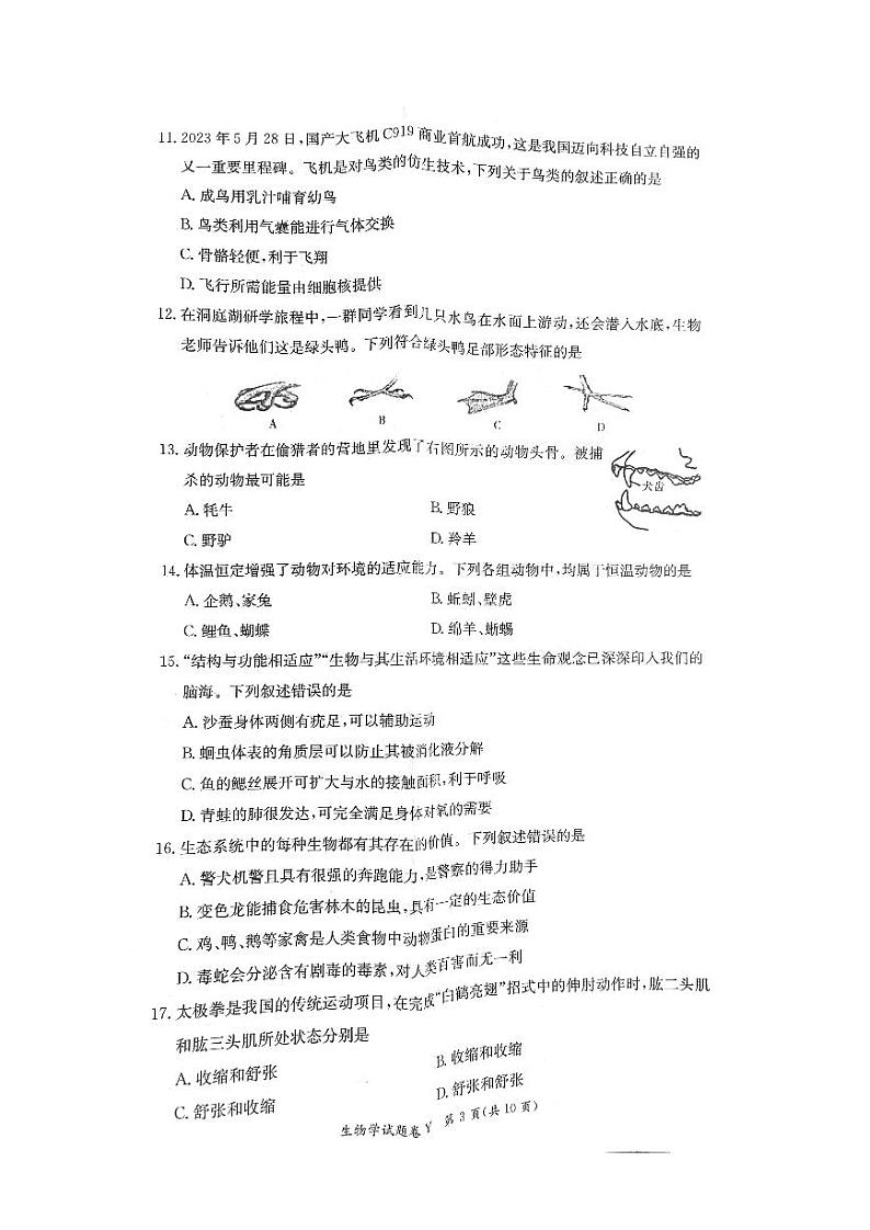 湖南省长沙市一中教育集团2023-2024学年八年级上学期期中生物试题03