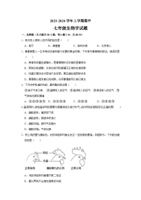 山东省淄博市淄川区2023-2024学年七年级上学期期中生物试题（五四学制）