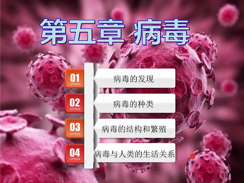 《病毒》课件01