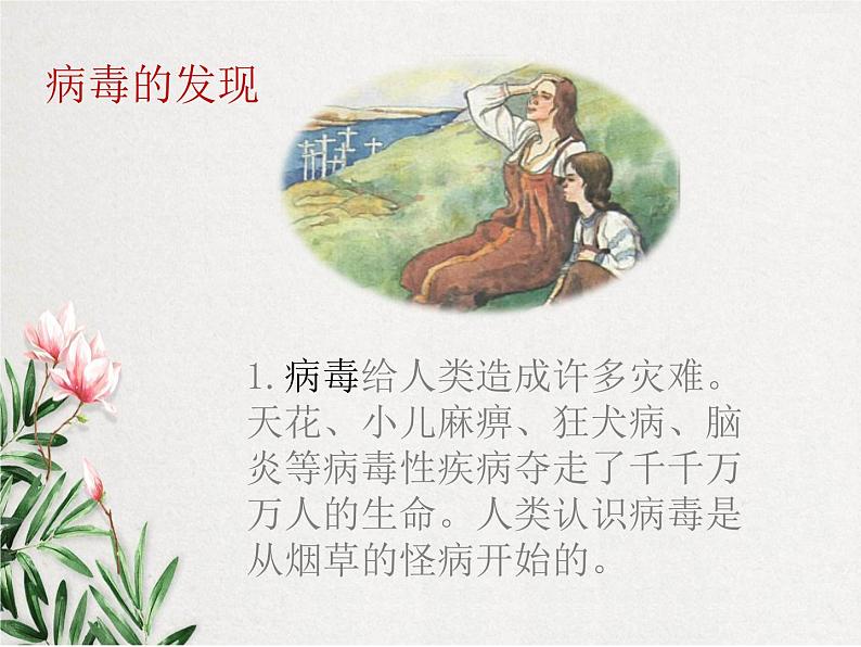 《病毒》课件02