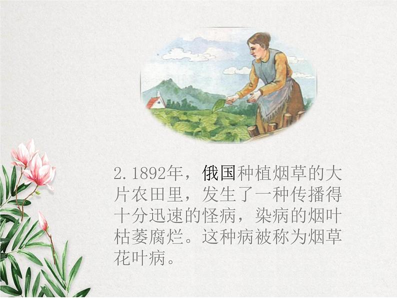 《病毒》课件03