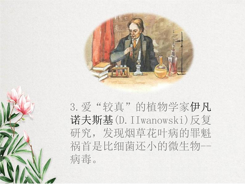 《病毒》课件04