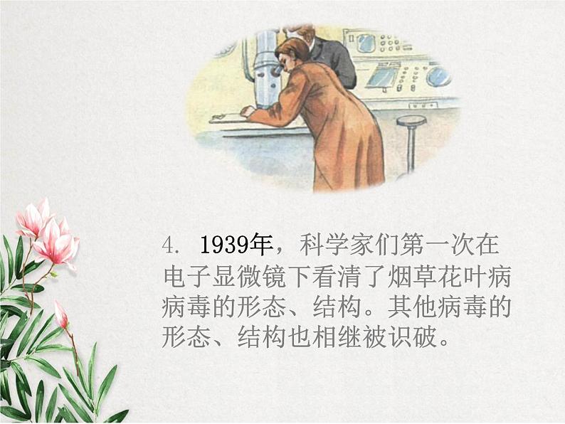 《病毒》课件06