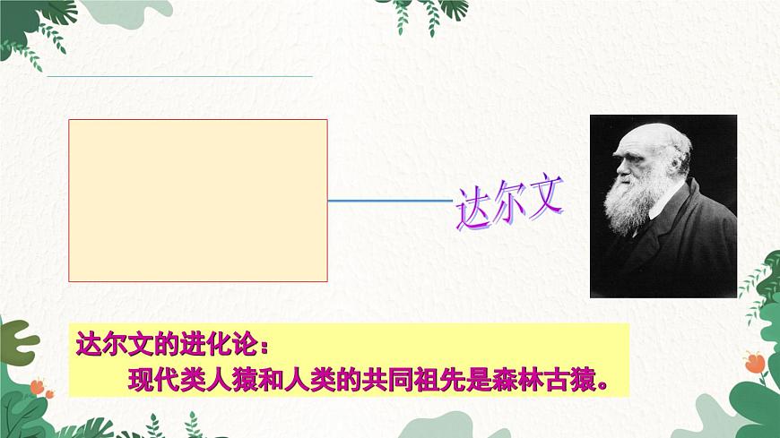 人教版生物七年級下冊 第一章第一節(jié)人類的起源和發(fā)展課件第3頁