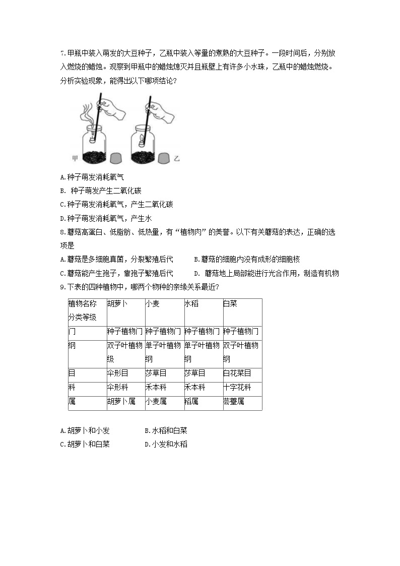 2023年山东省东营市中考生物真题（含答案解析）02