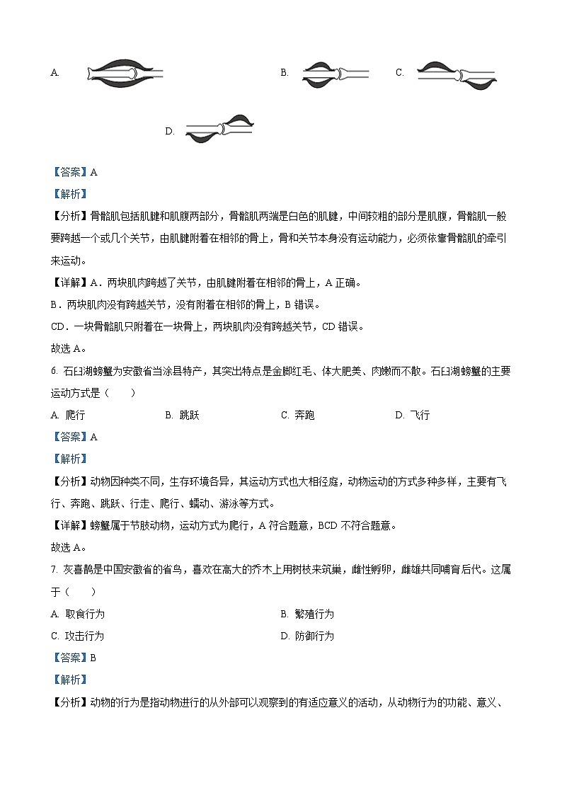 安徽省亳州市利辛中学 2023-2024学年八年级上学期期中生物试卷(解析版)第3页