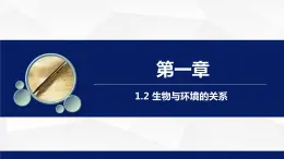 苏教版七年级生物上册 1.2生物与环境的关系教学课件