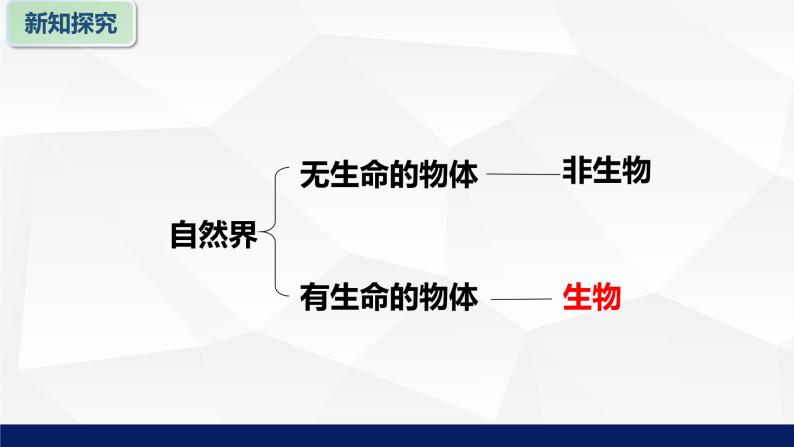 苏教版七年级生物上册 1.1我们周围的生物教学课件06