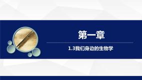 苏教版七年级上册第三节 我们身边的生物学教学课件ppt