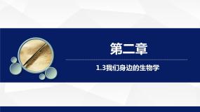 初中生物苏教版七年级上册第一节 探索生命的器具教学课件ppt