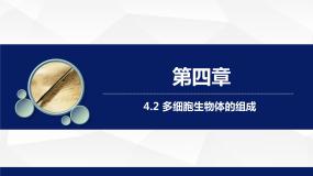 初中生物苏教版七年级上册第二节 多细胞生物体的组成教学课件ppt