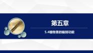 初中生物苏教版七年级上册第四节 植物茎的输导功能教学ppt课件